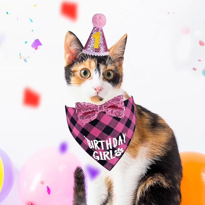 Cat Birthday Decorations, Pink Girl Cat Birthday Bandana Hat Numbers Bowtie for Cats Party Outfits