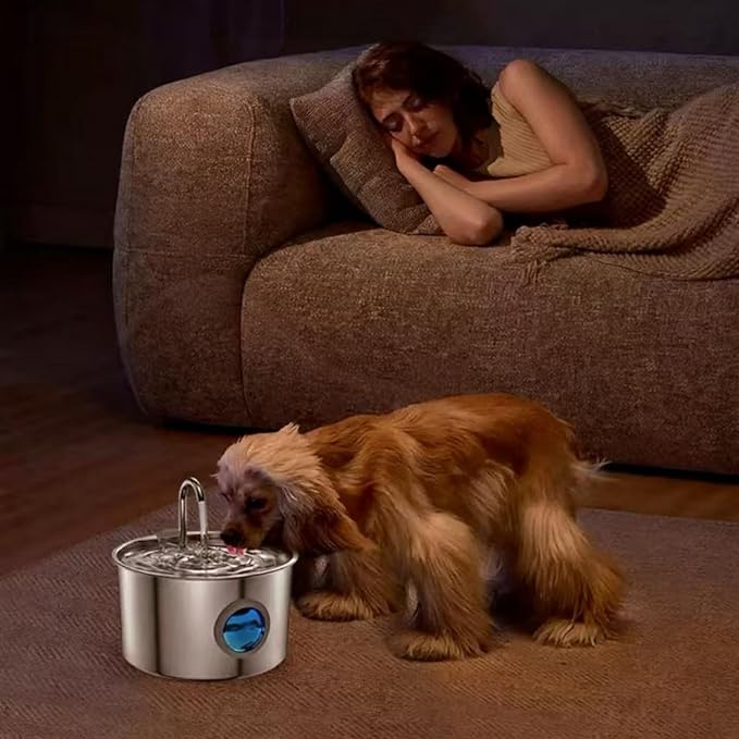 Cat Water Fountain Stainless Steel Battery Operated Pet Fountain Rechargeable Water Dispenser for Cats LED Water Level Window Ideal for Cats Dogs Multi-Pet Home