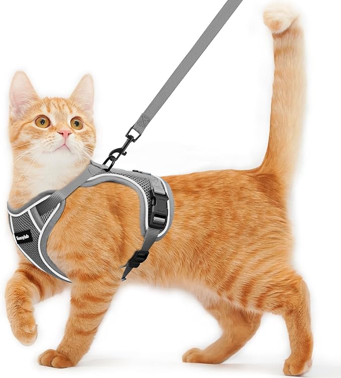 Cat Harness and Leash for Walking Escape Proof Soft Adjustable Cat Leash Breathable Comfortable Vest Easy to Wear Kitten Harness for Outdoor Travel (Grey, M (13-18lb))