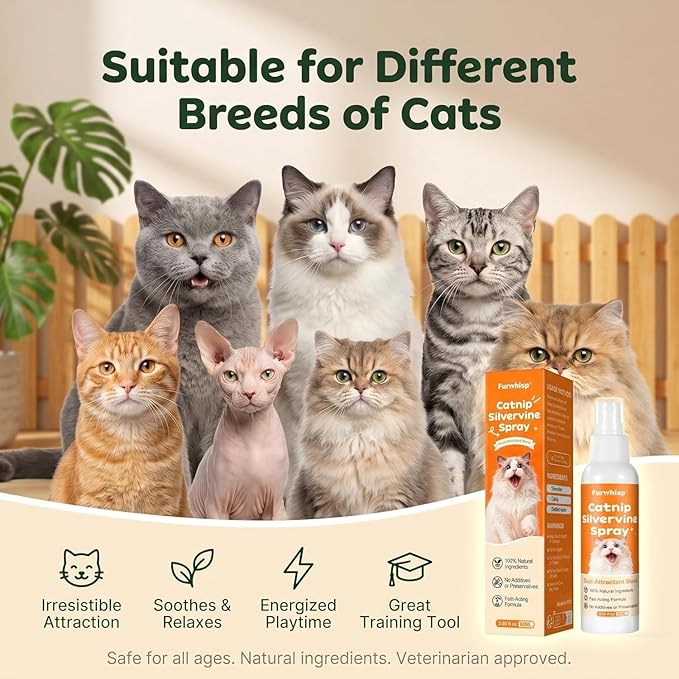 Catnip Spray with Silvervine,100% Natural Dual-Plant Formula,Loved by 9 Out of 10 Cats, Renews Old Toys & Encourages Positive Scratching, Indoor & Outdoor Use – 2 oz