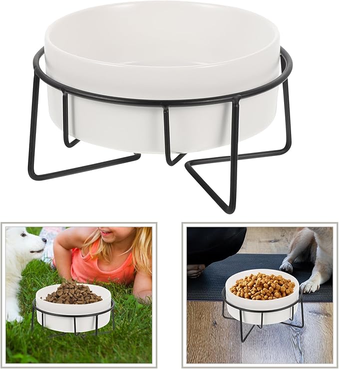 Elevated Cat Food Bowl with Metal Stand, 400ml Ceramic Raised Pet Feeder for Cats and Small Dogs, Non-Slip White Bowl with Black Iron Frame, Suitable for Feeding and Watering