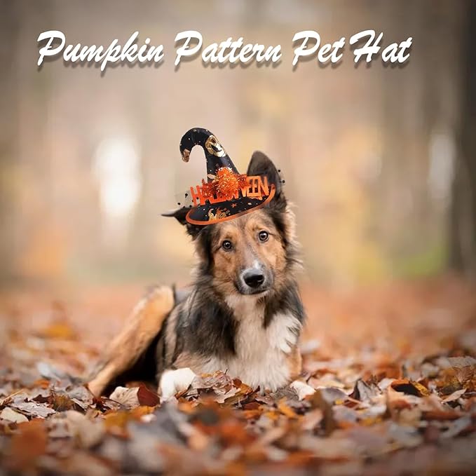 Halloween Adjustable Witch Pet Hat for Cats Dogs Pumpkin Pattern Pet Hat for Small and Medium Cats Dogs Halloween Funny Head Accessories
