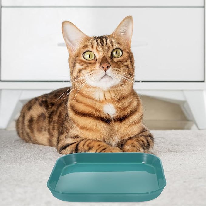 HOMSFOU 5pcs Shallow Cat Food Bowls Set Sturdy Non-breakable Pet Feeding Plates for Indoor Cats Mixed Color Suitable for Daily Feeding and Watering Random Color