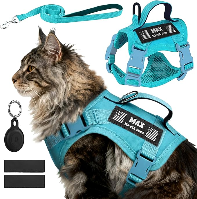 Custom Blue Tactical Cat Harness and Leash Escape Proof Adjustable Vest with Reflective Strips and Personalized Patch Soft Breathable Outdoor Gear for Walking Training Fits Cats 7-12 lbs