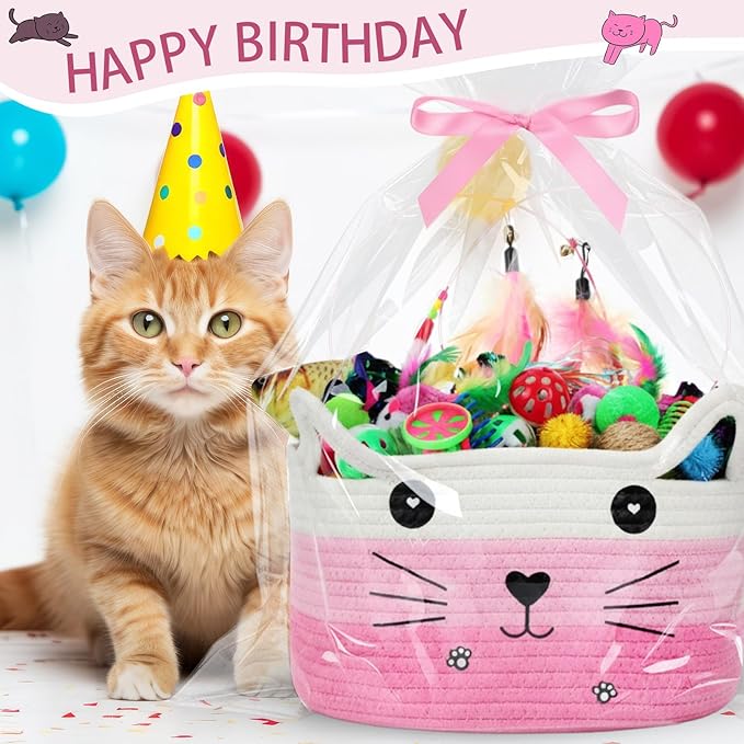 Zopeal 76 Pcs Graduation Cat Storage Basket Gift Toys Set Interactive Cat Toys Kitten Wand Colorful Flashing Balls Pet Crinkle Balls Attract Kitten to Swat, Hunt for Pet Indoor(Pink)