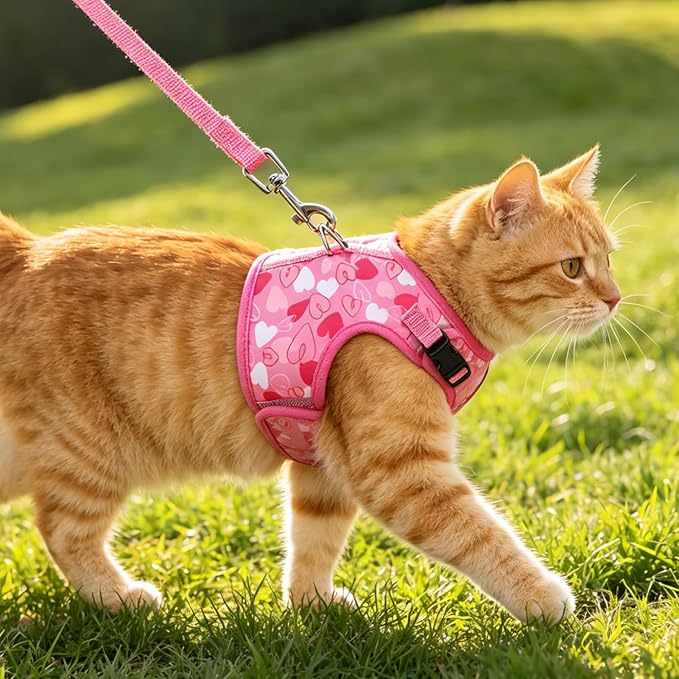 BINGPET Cat Harness and Leash Set Escape Proof for Walking,Step-in Harness with Lightweight Soft Breathable Mesh,Adjustable Easy Control Harness for Kitten Puppy Small Medium Large Cats(Heart,L)