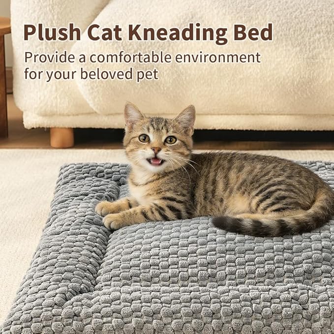 SOMAHE Cat Beds Flat Cat Bed Mat, Premium Plush Cat Mat with Non-Slip Bottom, 1.2" Thick All-Season Kneading Cushion, Machine Washable Anti-Static Pet Bed 15×23Inch, Grey