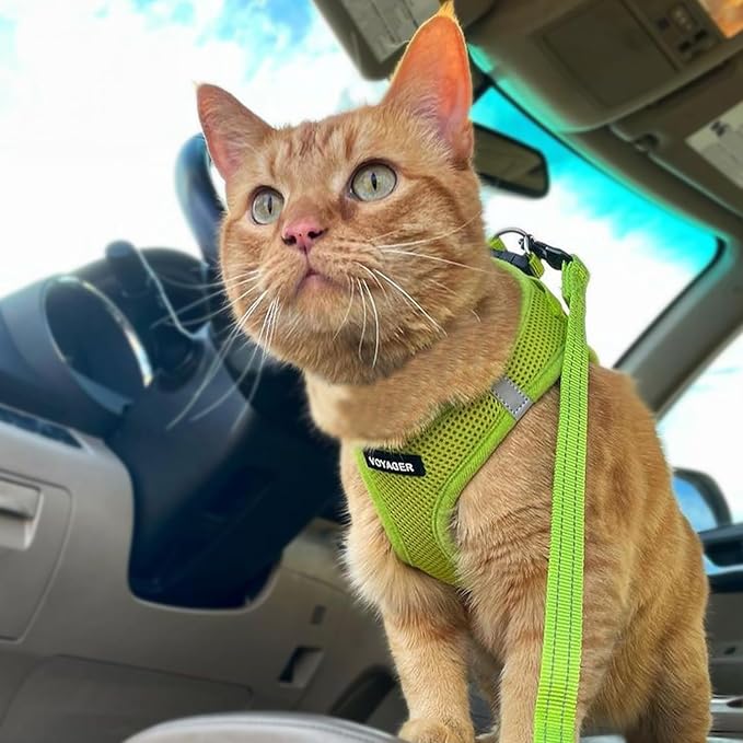 Voyager Step-in Pet Harness - All Weather Mesh, Adjustable Step in Harness for Cats and Dogs by Best Pet Supplies - 307S Lime Green, M