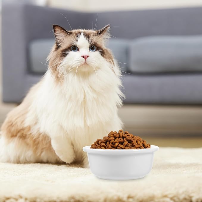 Ceramic Cat Bowl and Water Dish Single Beige Pet Feeding Bowl Sturdy Food Container for Indoor Cats and Small Puppies