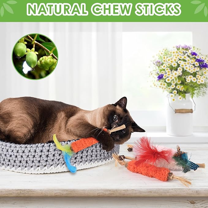 TINDTOP Cat Chew Toys, 6 Pack Silvervine Chew Sticks for Kittens Teeth Cleaning, Matatabi Dental Care, Increase Appetite, Aggressive Chewers Cat Dental Toy