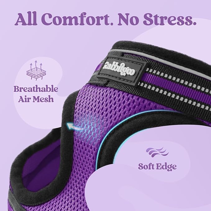 rabbitgoo Cat Harness and Leash Set for Walking Escape Proof, Adjustable Soft Kittens Vest with Reflective Strip for Cats, Comfortable Outdoor Vest, Purple, M