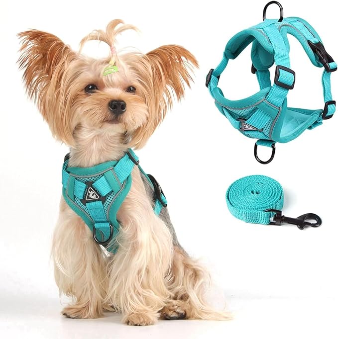 Cat Harness and Leash Set, Upgraded Escape Proof Adjustable Kitten Vest with Lead for Small Cat Outdoor Walking, Soft Breathable Mesh Jacket with Reflective Strips for Dark Night, S, Emerald Green