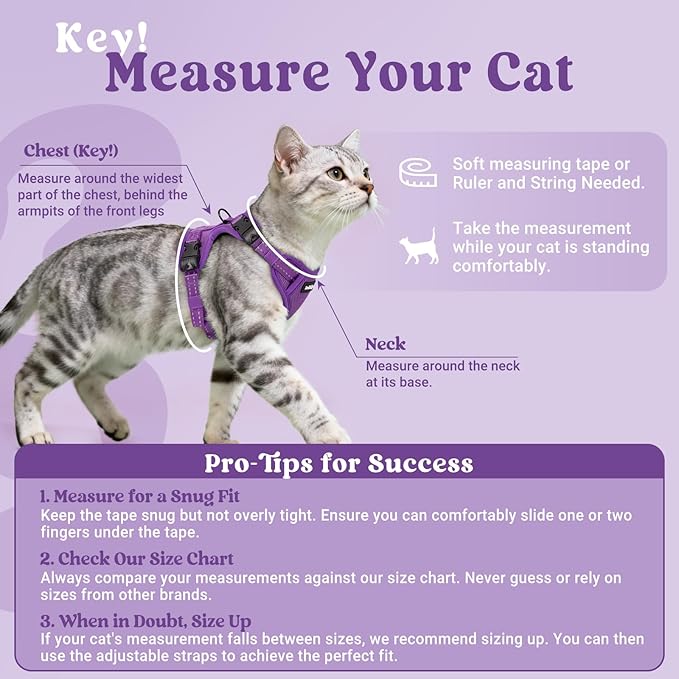 rabbitgoo Cat Harness and Leash, Escape Proof Vest with 3 Adjustable Buckles, Soft Comfortable Kitten Harness, Easy to Wear, Reflective for Safe Outdoor Walking, Medium, Purple