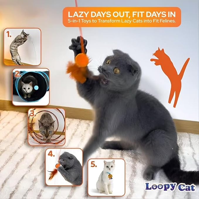 Toy Box – 5 Interactive Indoor Cat Toys with Spiral Tunnel, 3-Way Mesh Tunnel, Feather Wand, Ribbon Teaser & Suction Cup for Active Cats