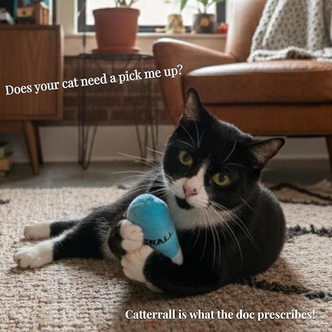Smokey's Stash Catterall Catnip Toys – 4 Pack Plush Pill Toys with Potent Catnip & Crinkle Paper – Funny Parody Cat Toys for Indoor Cats & Kittens – Interactive Kicker Toys