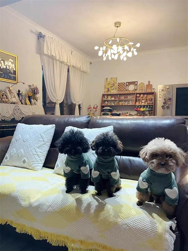 Small Dog Sweaters for Dogs Girls Boys, Heart Love Pattern Puppy Clothes, Puppy Pullover Outfit (Dark Green, Small)