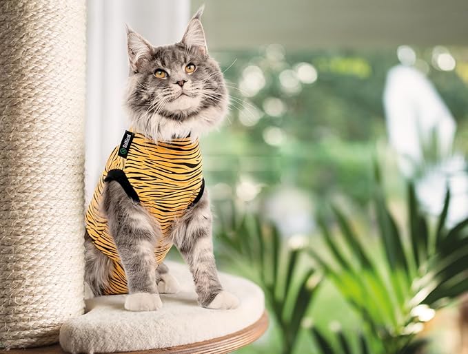 Suitical Cat Recovery Suit for Spay, Neuter, Suture, Incision, & Skin Conditions - Breathable Fabric with Back Opening - 11.4-14.6 Inches Neck to Tail, 13-16 Inches Chest - 3XS, Tiger Print