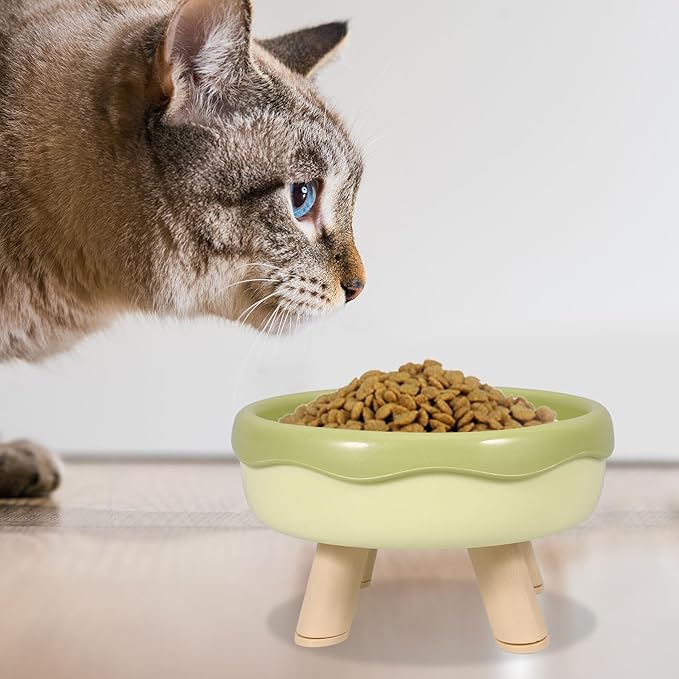 VICASKY Raised Cat Bowl and Elevated Kitten Food Dish with Neck Protection, Tilted Design in Grass Green, Anti-Vomit Pet Feeding and Watering Bowl for Cats and Kittens