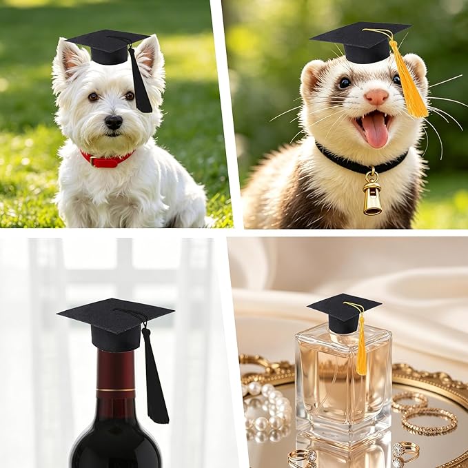 Mini Graduation Caps with Gold and Black Tassel, 2 Pack Black Mini Graduation Caps, Small Animal Bachelor Hats for Adjustable Pet Graduation Photo Props Cat Dog Holiday Costume Accessories