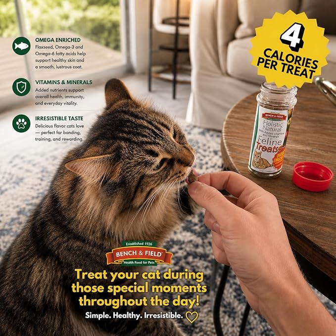Bench & Field Holistic Natural Healthy Kitty Cat Treats | Crunchy Fish-Shaped Bites | Delicious Seafood Flavored Snack, 3-Ounce (Pack of 12 Bottles)