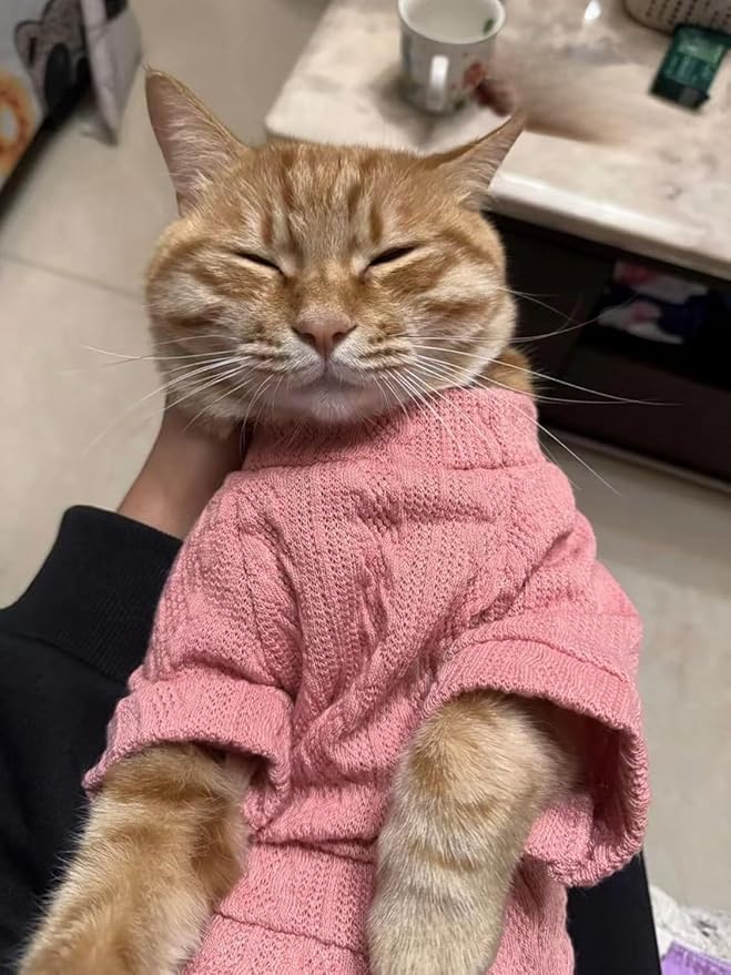 Kitten Clothes, Dog Cat Sweaters Pet Puppy Knitwear Costume Fall Winter Coat for Small Medium Cats Dog Girl Boy Fit 2.2-23lb