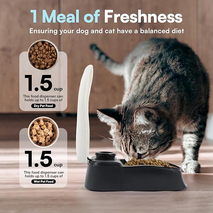 PAWISE Automatic Cat Feeder, 48-Hour Timer, with Ice Pack, 1.5 Cup