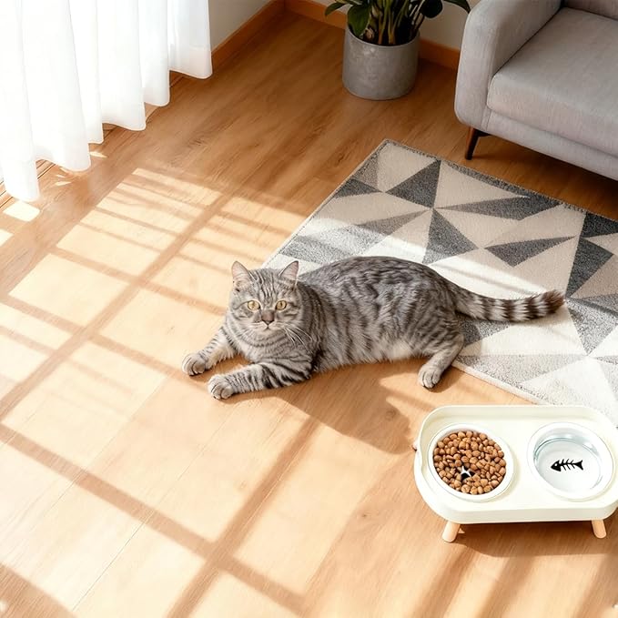 Elevated Cat Bowls, 2 Ceramic Raised Cat Food and Water Bowl Set, Prevent Cat Chin Acne, Whisker Fatigue Friendly, Splash Proof & Dishwasher Safe for Indoor Cats and Small Dogs - White