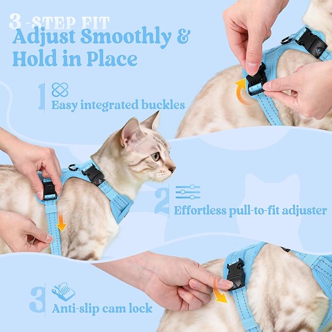 rabbitgoo Cat Harness and Leash, Escape Proof Vest with 3 Adjustable Buckles, Soft Comfortable Kitten Harness, Easy to Wear, Reflective for Safe Outdoor Walking, Medium, Sky Blue