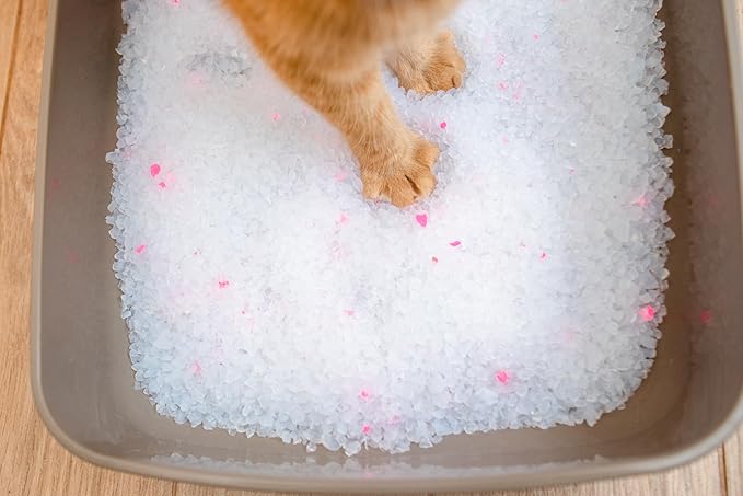 Calitti Premium Crystal Cat Litter – Ultra Absorbent & Maximum Odor Control – 99.9% Dust-Free, Low Tracking, Non-Clumping Silica Gel – Unscented – 32 lb (4 x 8 lb Packs)