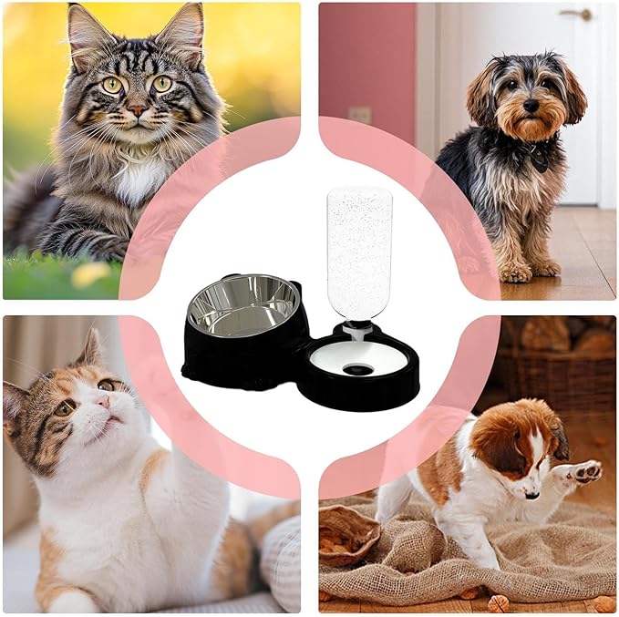 Cat Feeder and Water Dispenser,Food Grade Splash-Proof Feeding Dispenser | Cat Feeding Station - for Daily Storage Puppy Drinking Watering Outdoor Travel Indoor Home