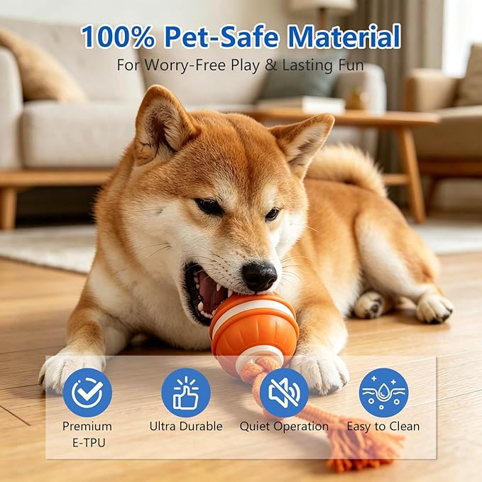 Interactive Dog Ball, 360° Self-Moving Dog Toy with LED Lights & Squeaker, Automatic Fetch Toy for Boredom & Training, USB-C Rechargeable Smart Pet Toy for Small Medium Dogs & Cats