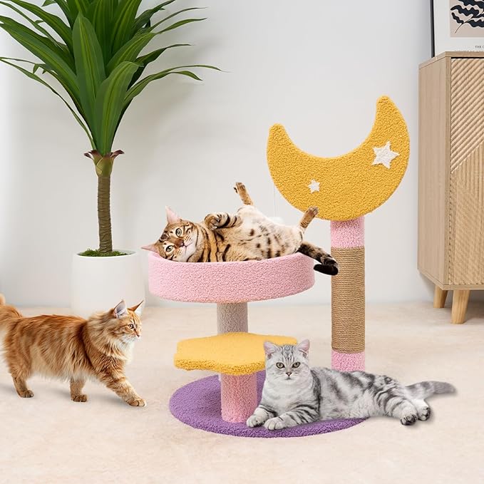 Small Cat Tree, Moon Star Cat Tree Built-in Scratching Post and Bed, 23.5 in Purple Pink Cute Kitten Tower Cozy Fluffy Kitten Condo for Indoor Activity