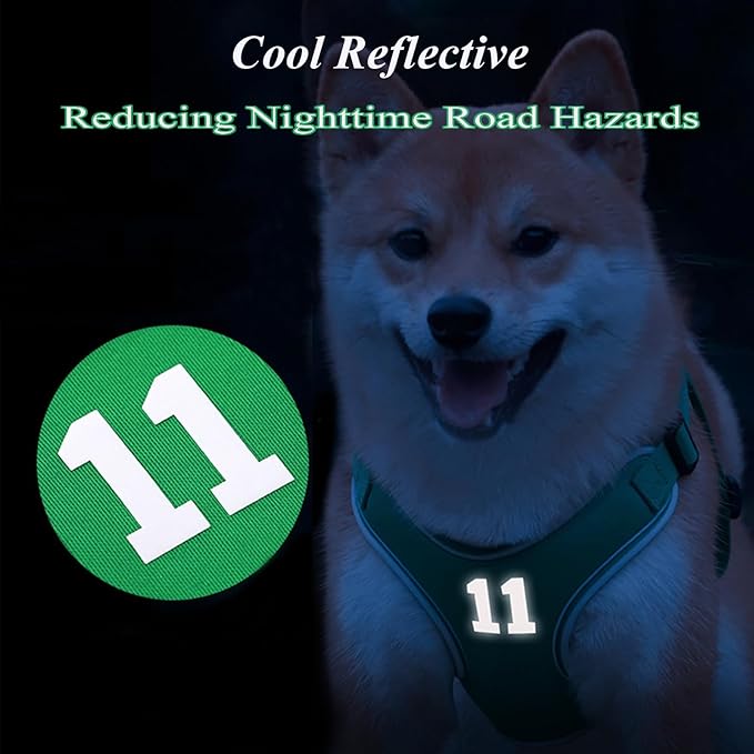 Reflective Dog Harness Breathable Adjustable Pet Harness with Handle for Outdoor Walking,Easy Control for Small,Medium Breeds (Green,L)