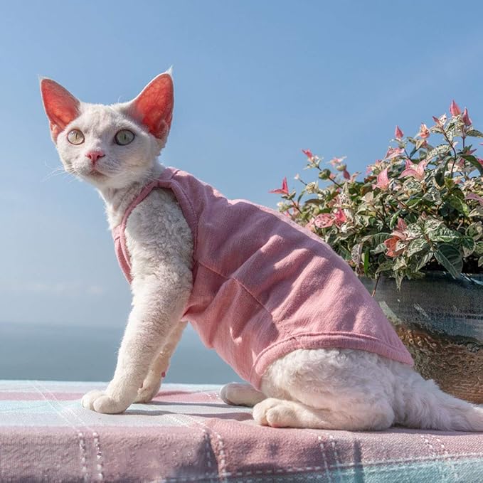 Hairless Cats Solid Cotton Camisole, Breathable Summer Tank Tops for Sphynx, Cornish Rex, Devon Rex, Peterbald, Cat Wear Hairless Cat Clothes Soft Skin-Friendly Cats Apparel Assorted Colors and Sizes