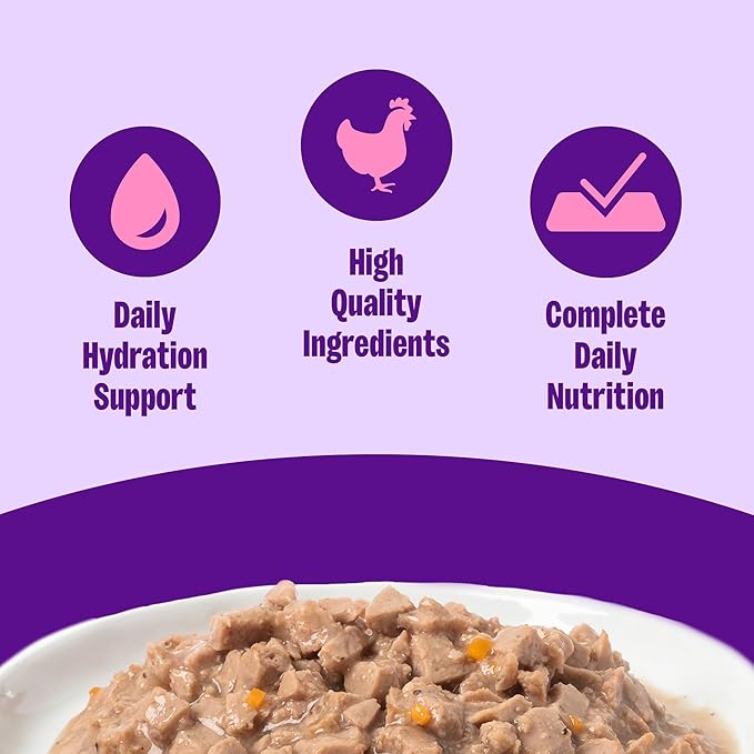 Wellness Complete Health Gravies Adult Canned Wet Cat Food, Natural, Protein Rich, Grain Free, Chicken Entrée Recipe, 3 oz, Pack of 12 Cans