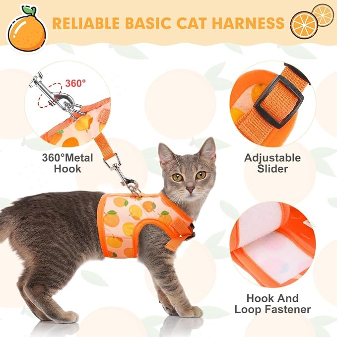 BINGPET Cat Harness with Leash Escape Proof - Fashionable Mesh Cat Dog Walking Harness Leads, Adjustable for Kitties Puppies Small Animals,Orange,XL