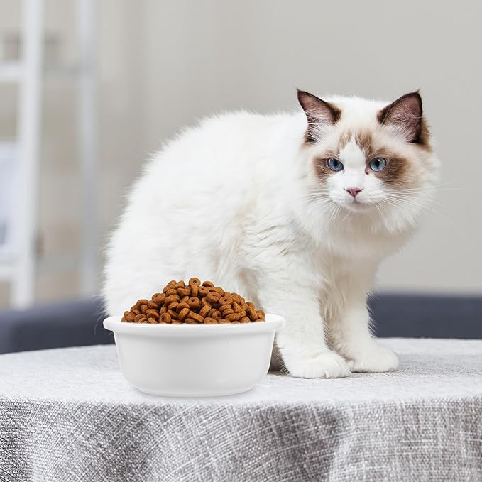 Ceramic Cat Bowl Pet Food Holder Sturdy Reusable Cat Feeding Dish Single Beige and Kittens