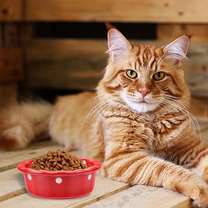Christmas Ceramic Cat Bowl and Pet Food Bowl Red Creative Cat Food Container for and Dogs Suitable for Holiday Feeding and Watering