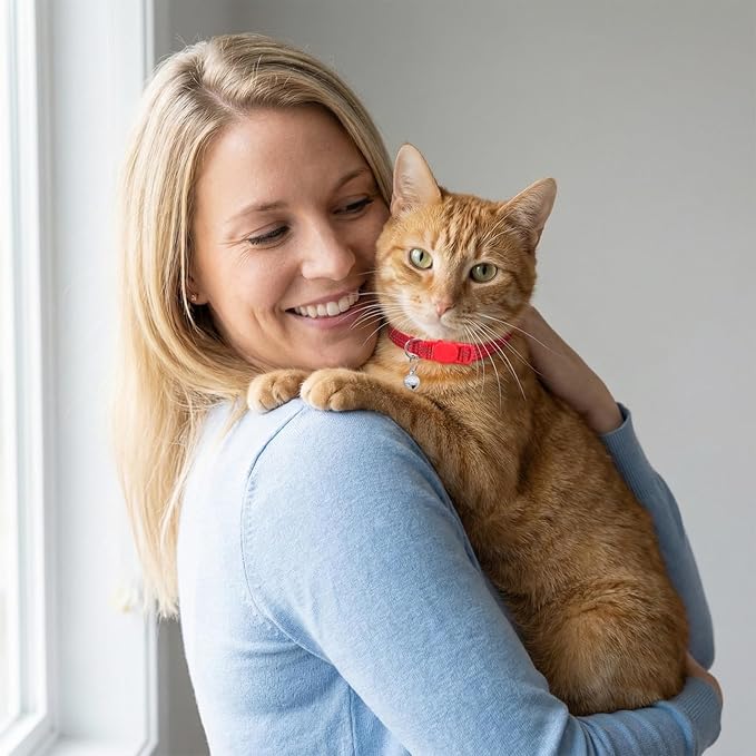 Reflective Cat Collar, Breakaway Cat Collars Kitten Collar with Bells Adjustable Collars for Small Cats Safety Quick Release Safety Buckle 7.9-13 Inches 5 Bright Colors for Small Pets