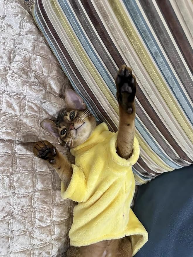 Sphynx Cat Clothes Winter Turtleneck Soft Coral Fleece Cat Clothes Thicken Warm Pajamas Coat for Hairless Cats and Small Cat Apparel with Sleeves (Lemon Yellow, XXL（12.7-16lbs）)