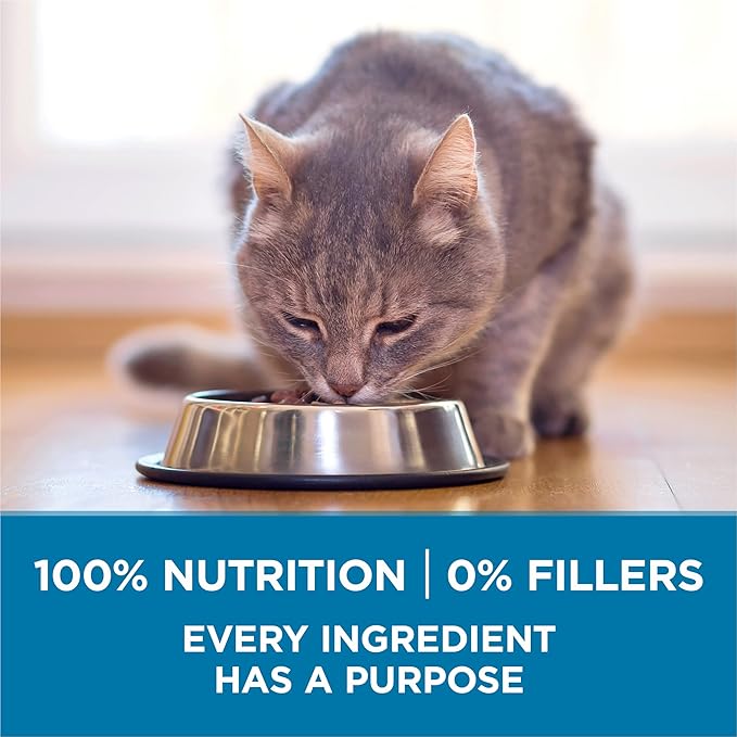 Purina ONE High Protein, Natural Senior Dry Cat Food, Indoor Advantage Senior+ - 16 lb. Bag