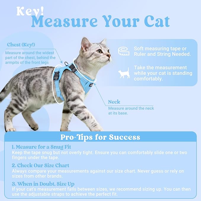 rabbitgoo Cat Harness and Leash, Escape Proof Vest with 3 Adjustable Buckles, Soft Comfortable Kitten Harness, Easy to Wear, Reflective for Safe Outdoor Walking, XS, Sky Blue