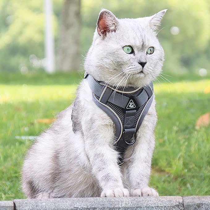 Cat Harness and Leash for Walking Soft Cat Harness Escape Proof, Adjustable Kitten Harness Cat Leash Reflective Strips Jacket, Breathable Cat Vest Harness Set for Kitten Easy to Wear Outdoor Walking