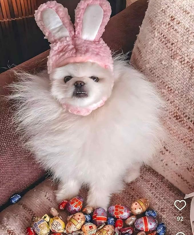 Rabbit Ears Hat for Cats & Small Dogs - Adjustable Plush Bunny Costume Headband for Easter, Halloween & Pet Party Dress Up (Pink)