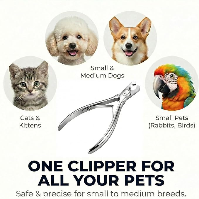 Cat and Dog Nail Clippers for Small & Medium Pets - Precision Pet Nail Trimmer with Included Cat Nail File - Professional Metal Claw Scissors for Kittens, Puppies, Rabbits & Birds