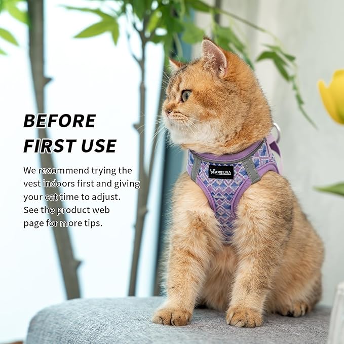 Arblina Soft Mesh Cat Harness and Leash Set for Walking,Escape Proof No Choke Step in Kitten Vest Harness,Reflective Ajustable Puppy Vest for Traveling