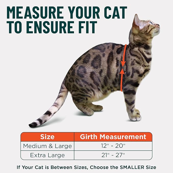 OutdoorBengal Always On™ Martingale Cat Harness and Leash Escape Proof Set – Vest for All-Day Kitten Adventures – Adult Cats - Cat Leash and Harness Escape Proof + Leash (Black, XL)