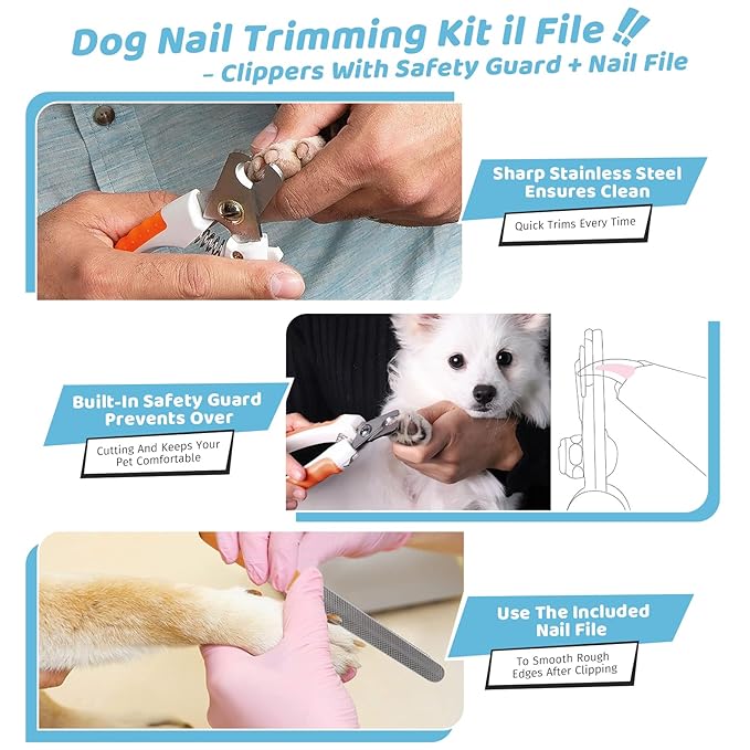 Pet Steam Brush Dog Cat 2026 New Grooming Comb for Shedding, Floating Hair, Smooth & Detangling, Gentle Cool Mist Softens Hair Reduces Static Helps Pets Who Dislike Bathing,Includes Waterless Shampoo