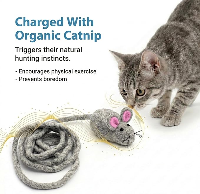 Glaciart One Felt Mouse Cat Toy – Soft Fuzzy Enrichment 100% Natural Wool - Interactive Catnip Play Cat Toy Set - Safe for Pets, Non-AZO Colored Dyes - 100” Long