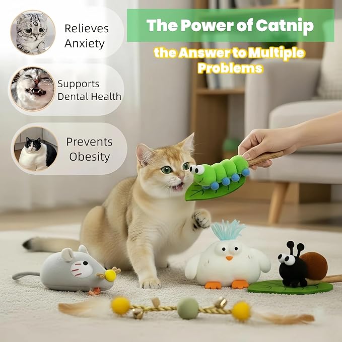 Catnip Toys for Cats, 5 Pcs Interactive Cat Toys Set with Silvervine Sticks, Squeaky Plush Mouse & Chirping Bird, Organic Catnip Dental Chew Toys for Kitten Teething & Boredom Relief